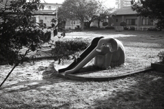 さびしいゾウさん