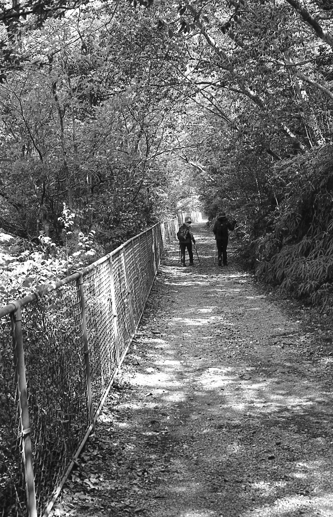 女性トレッカー