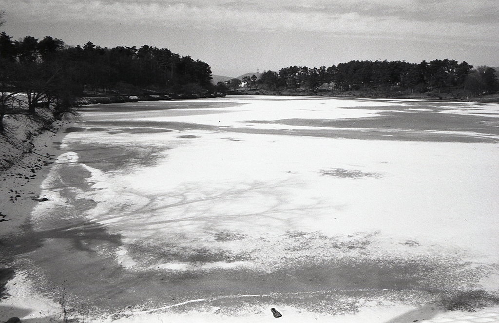 CANON A-1/CANON NFD28mm