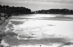 CANON A-1/CANON NFD28mm