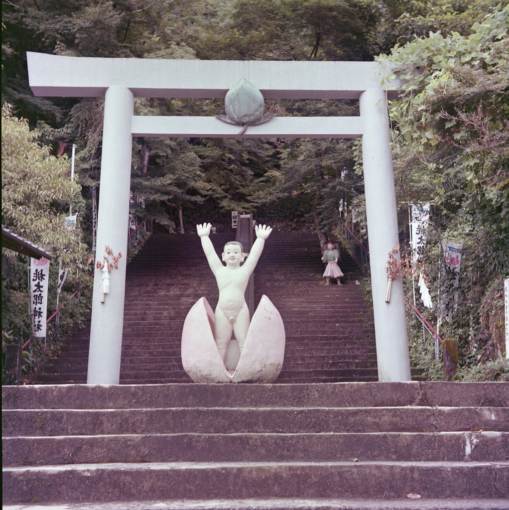 なぜか桃太郎（笑