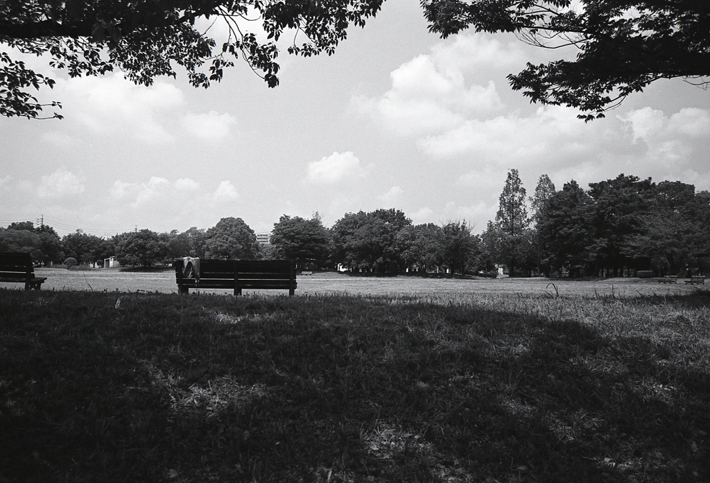 木陰のベンチ　～Rollei Retro（ローライレトロ）の散歩道