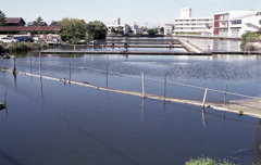 へら鮒釣りの温泉前釣り場