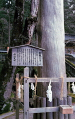 御柱