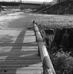 散歩道の木橋　～Kentmere400試写