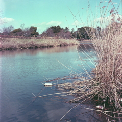 戸田川風景