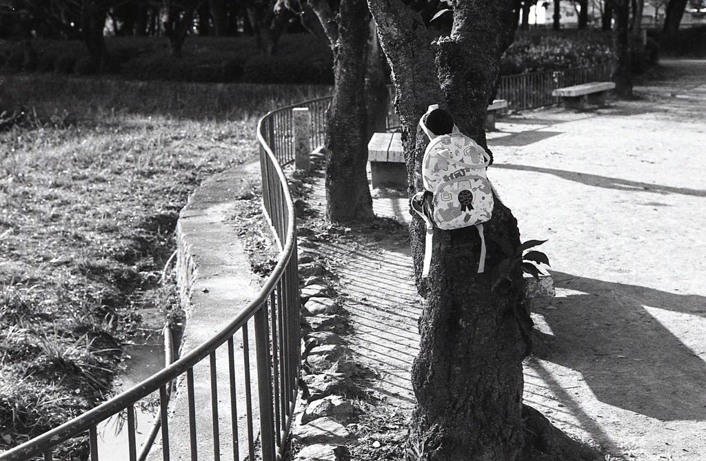 桜の木に忘れザップ