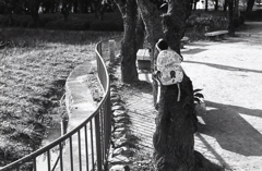 桜の木に忘れザップ