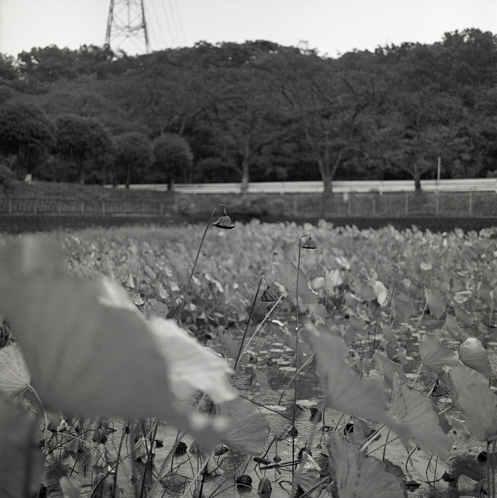 もう少し…あと少しだけ…