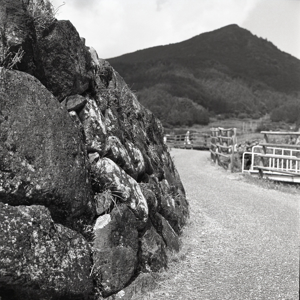 石積の棚田道を登り歩く