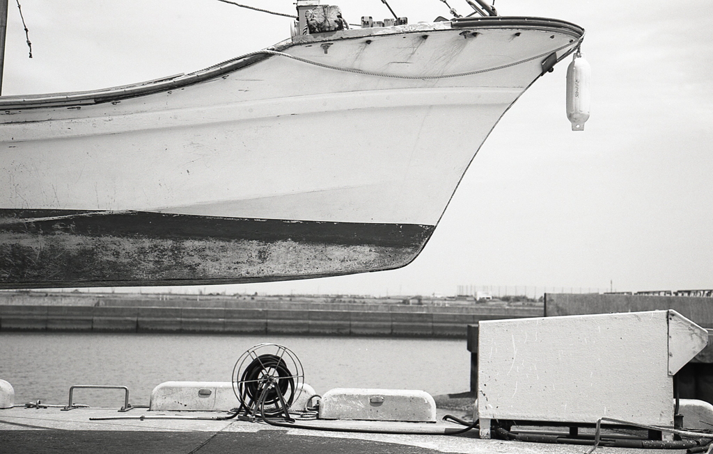 美しいフォルム　～赤須賀漁港