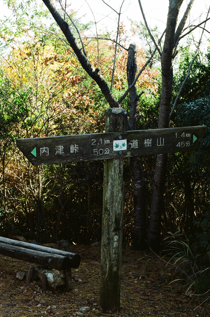 山道の案山子～2011年11月撮影