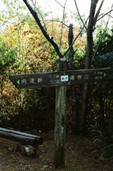 山道の案山子～2011年11月撮影