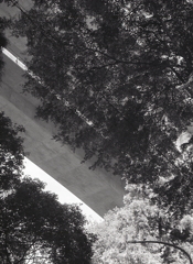 上を向くとマグロード