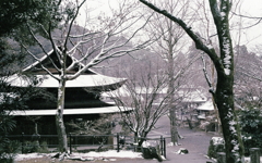 令和三年元旦の雪の定光寺 令和三年元旦の雪の定光寺