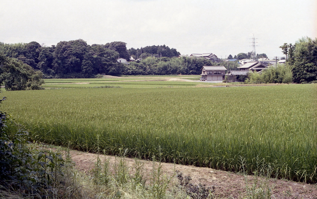「ねじり橋」を抜けると…