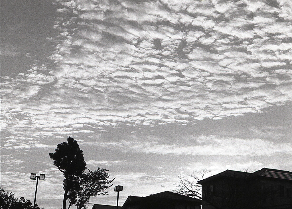 女ごころと秋の…暢子（ようこ）