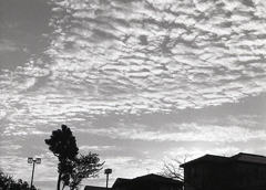 女ごころと秋の…暢子（ようこ）