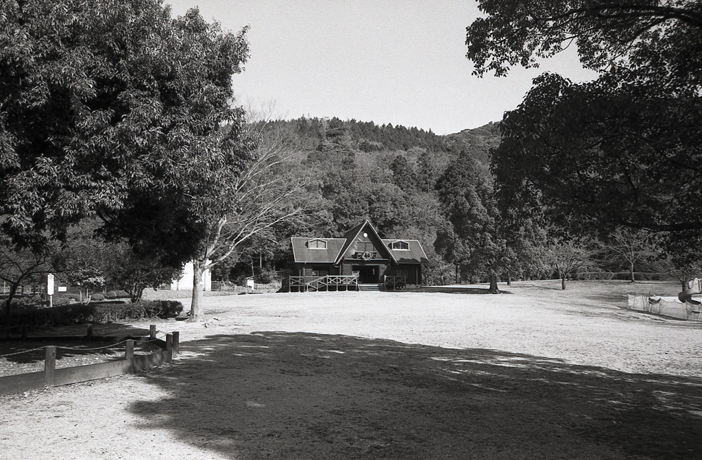 ウッドハウスにクリスマスリース