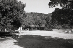 ウッドハウスにクリスマスリース