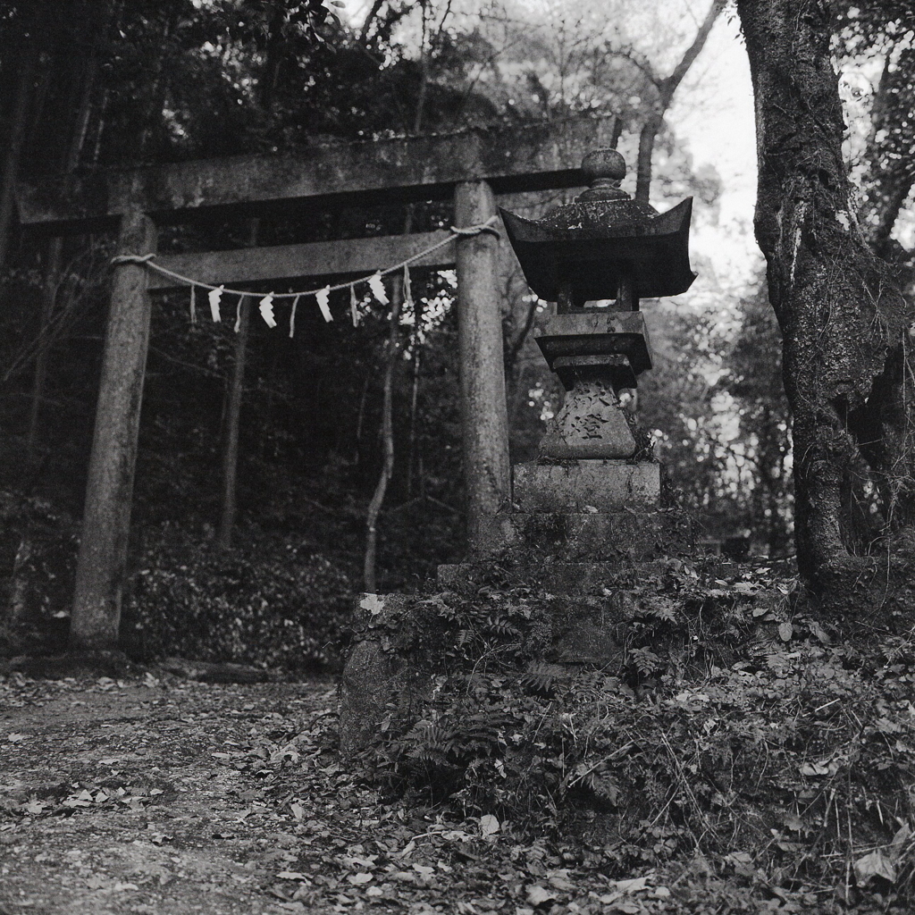 御岳神社の鳥居