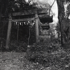 御岳神社の鳥居