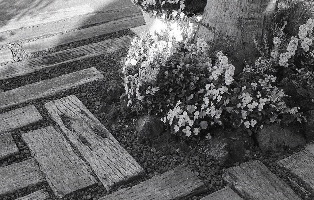 これならなんとか絵になるかなぁ？？？