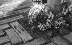 これならなんとか絵になるかなぁ？？？