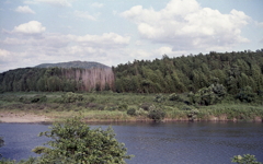 風そよぐ岸辺の竹林　～RETINETTE＆FUJI100