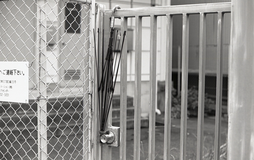 今日は傘に縁があるようだ。