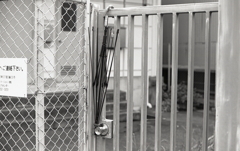 今日は傘に縁があるようだ。