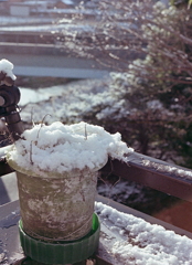 小さな積雪