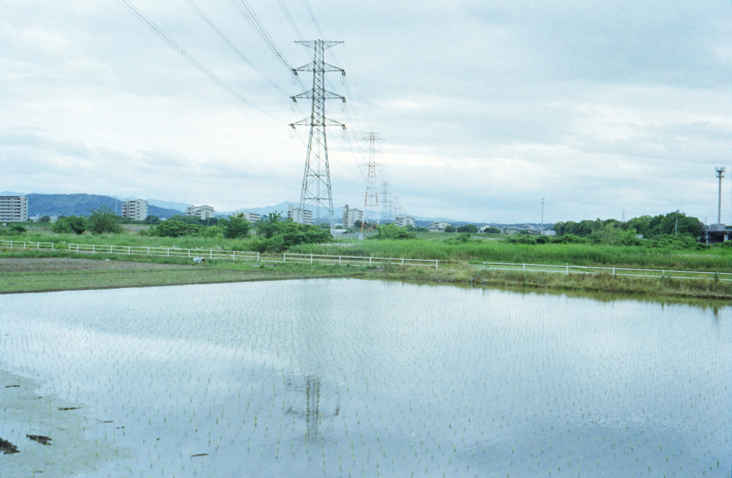 水無月というが…六月の鉄塔の映る水田風景