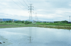 水無月というが…六月の鉄塔の映る水田風景