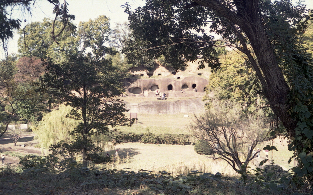 函南町で小山の穴倉