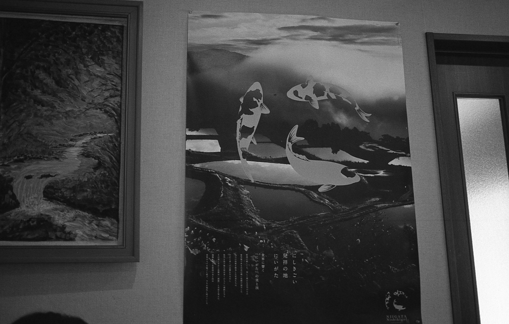 佐久は鯉が有名なんですね。