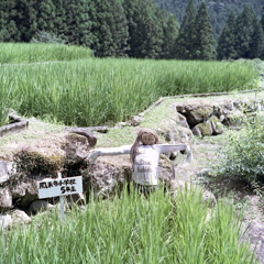 ロン毛の案山子