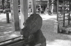 龍城神社 （たつきじんじゃ）の手水舎