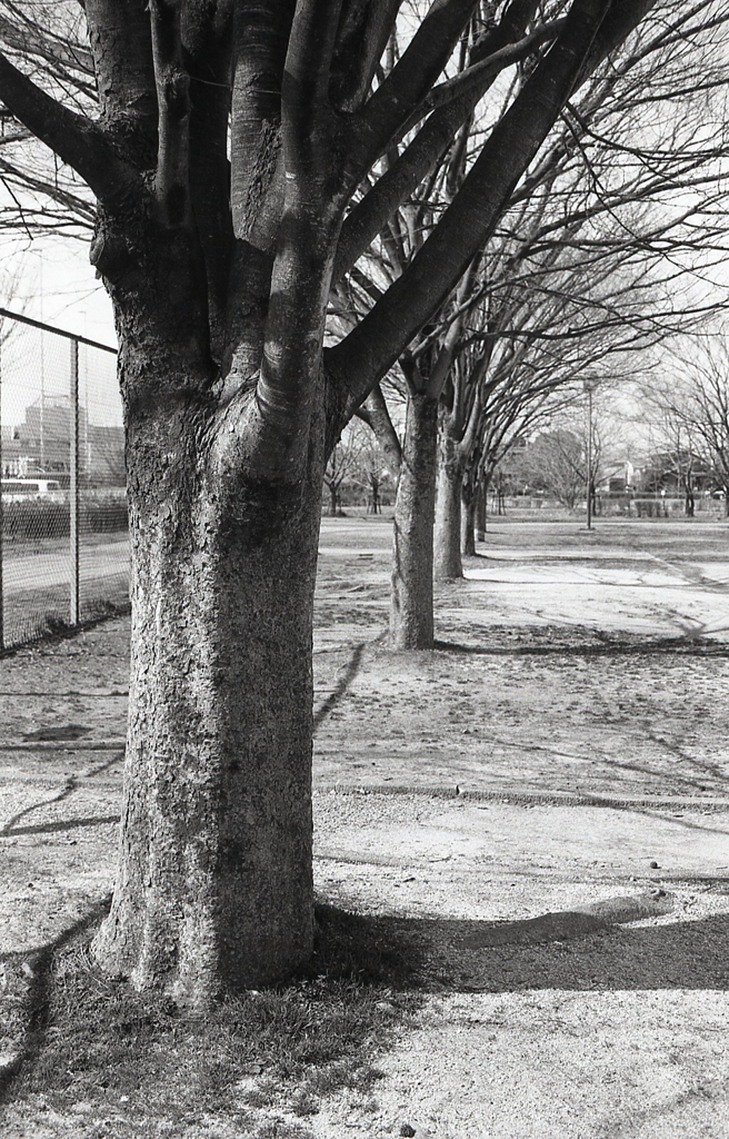 やはりモノクロかなぁ？ただ感じ方が違うね。