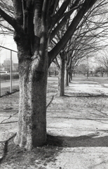 やはりモノクロかなぁ？ただ感じ方が違うね。