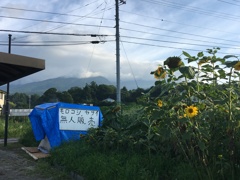 今日の浅間は雲被り