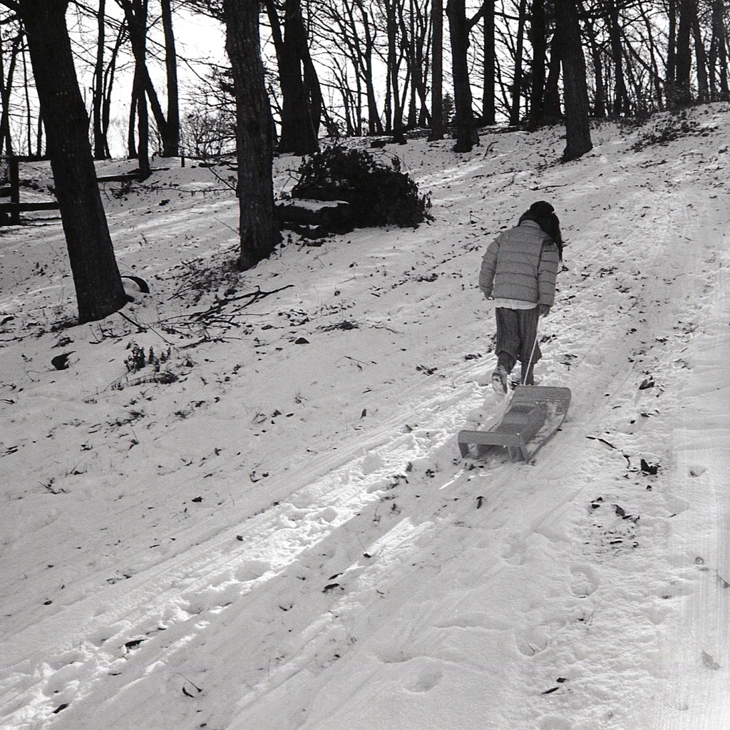 滑ってはのぼり…また滑っては…　