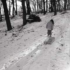 滑ってはのぼり…また滑っては…　