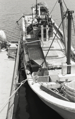 これは選別機だろうね。