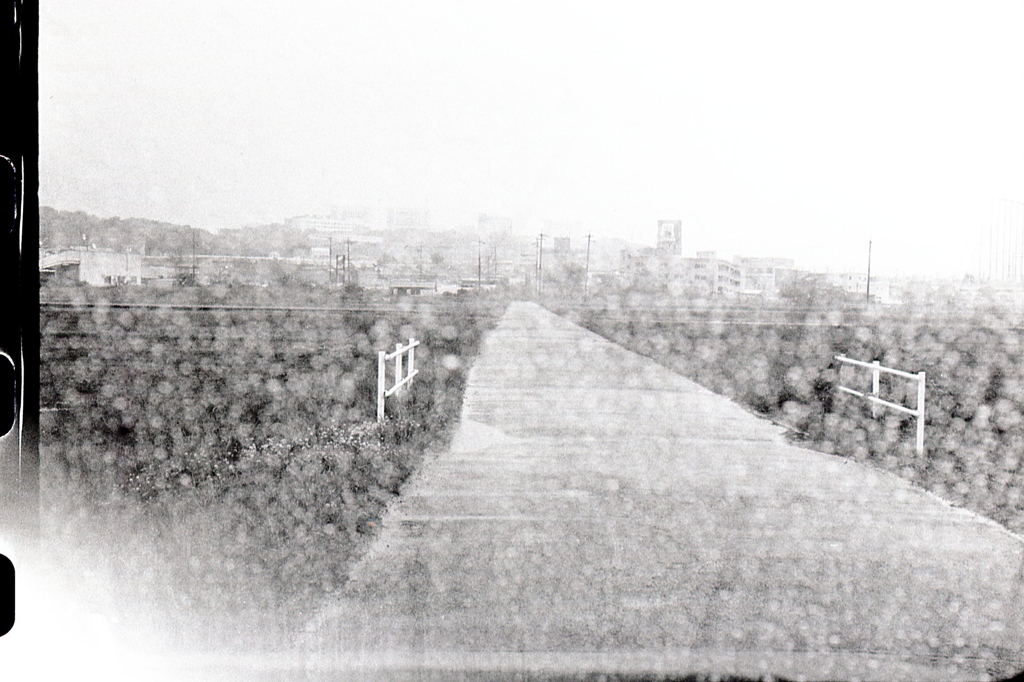 フロントガラスは雨の玉ボケ