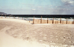 砂防の伊豆白浜風景