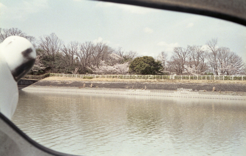 ボートからの風景