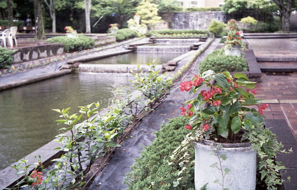 カナールの水辺