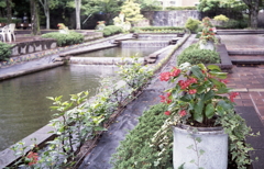 カナールの水辺