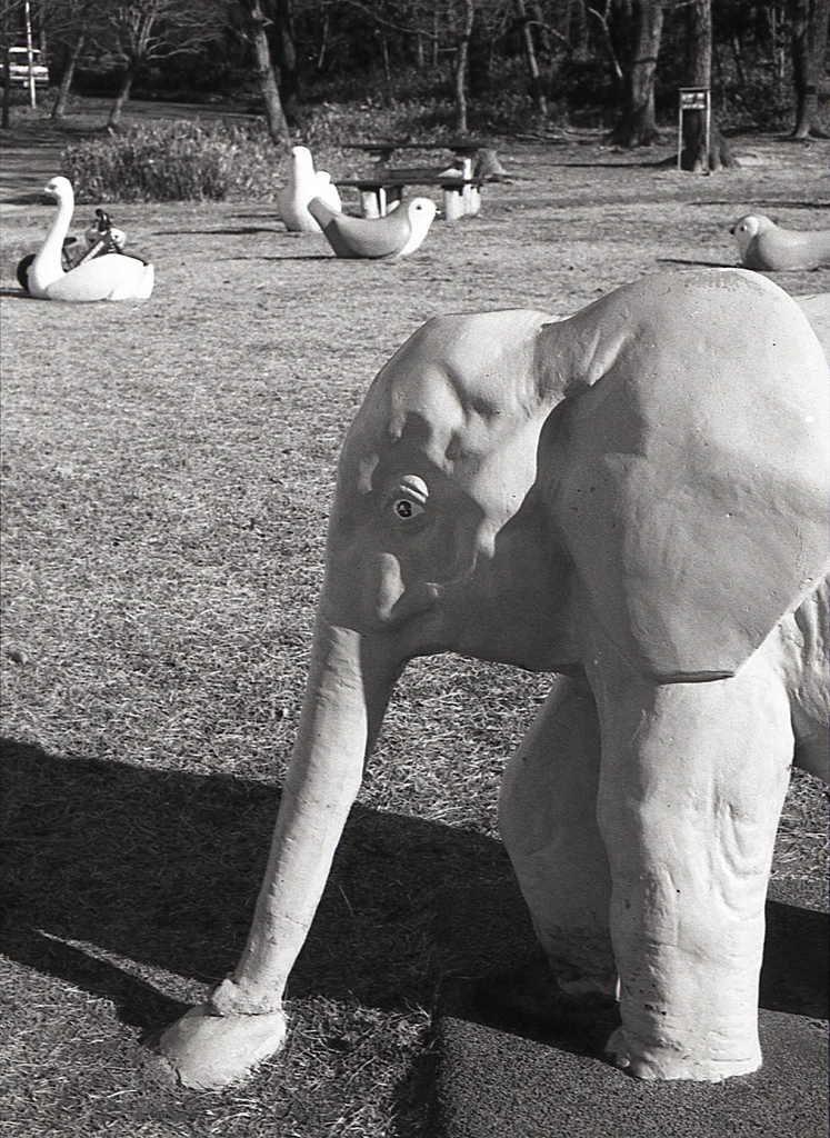 児童公園のぞうさんだよ。